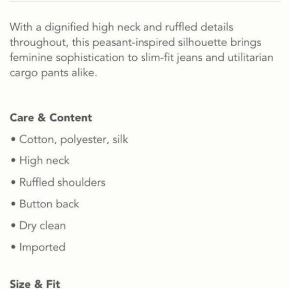 Anthropologie Current Air Polly Ruffled Blouse Lg - Picture 2 of 8